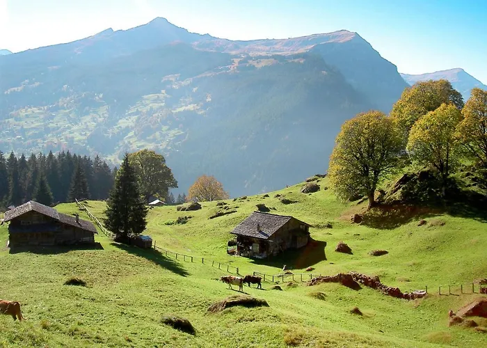 Schwendihus-6 By Interhome Apartment Grindelwald