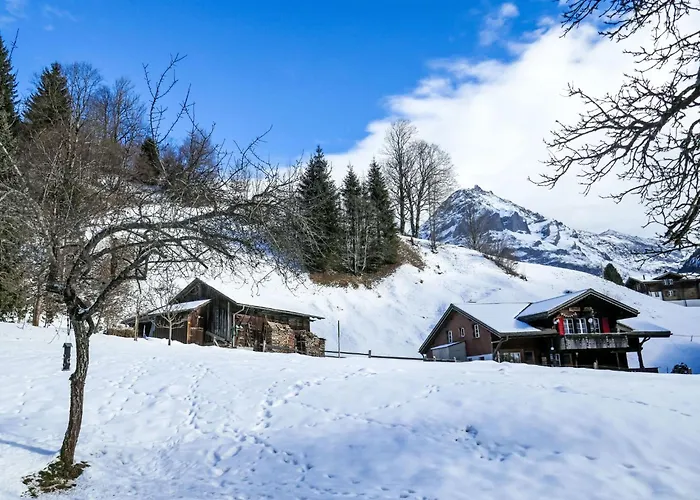 Schwendihus-6 By Interhome * Grindelwald