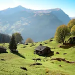 Schwendihus-6 By Interhome Appartamento Grindelwald